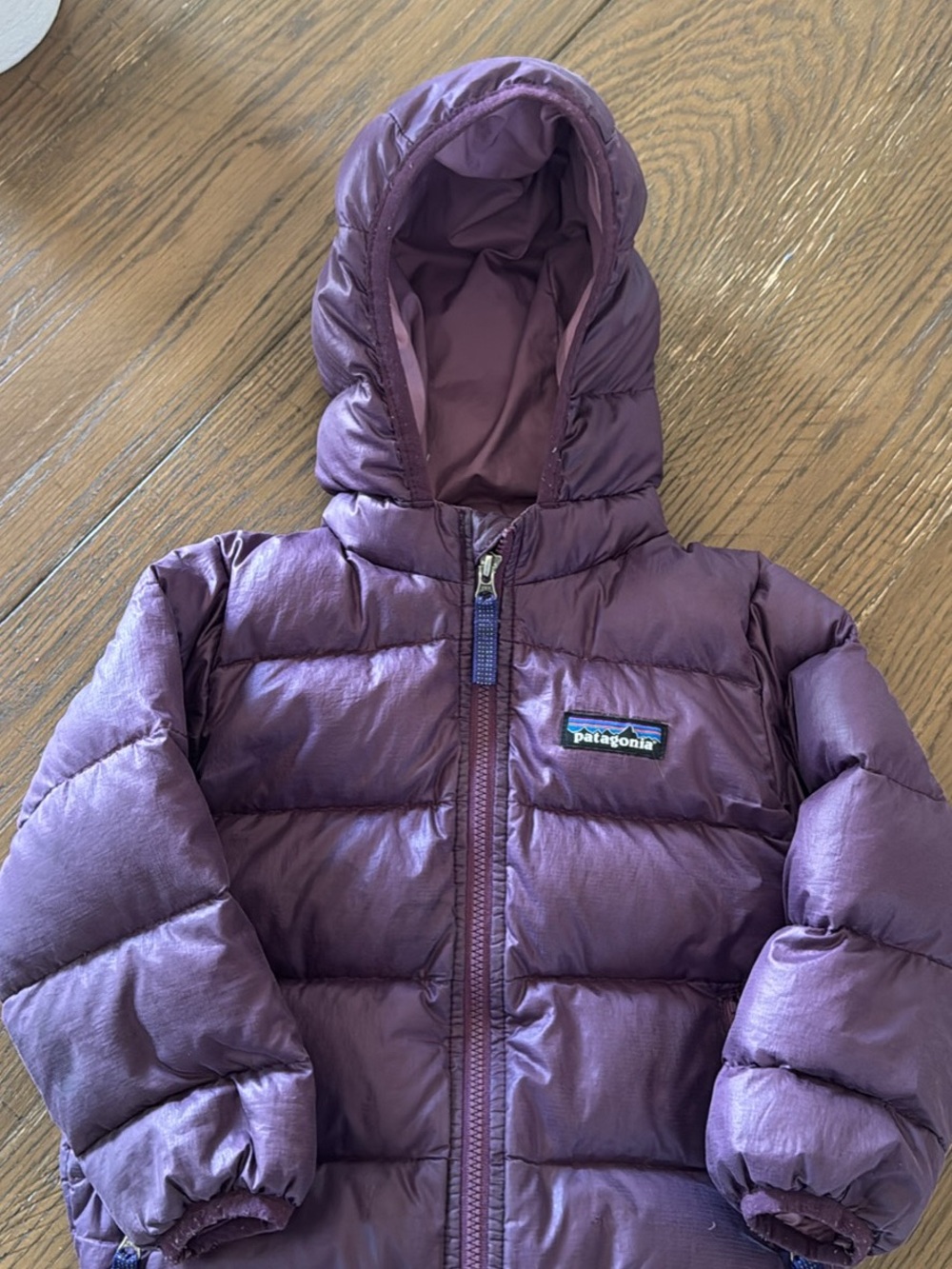 Patagonia Kids 12-24 months Hi Loft Puffer Jacket